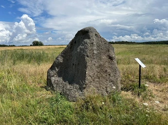 Findling Brokeloh Ein großer Findling steht inmitten einer grünen Wiese unter einem teils bewölkten Himmel.