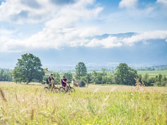 Museenlandschaft - Radweg-Murnau Museenlandschaft - Radweg-Murnau
