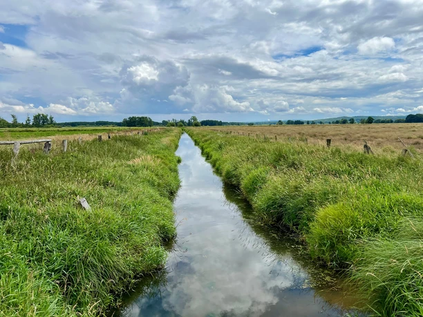 Meerbruchwiesen Ein schmaler Wassergraben verläuft gradlinig durch weites Grasland unter einer teils bewölkten Himmel.