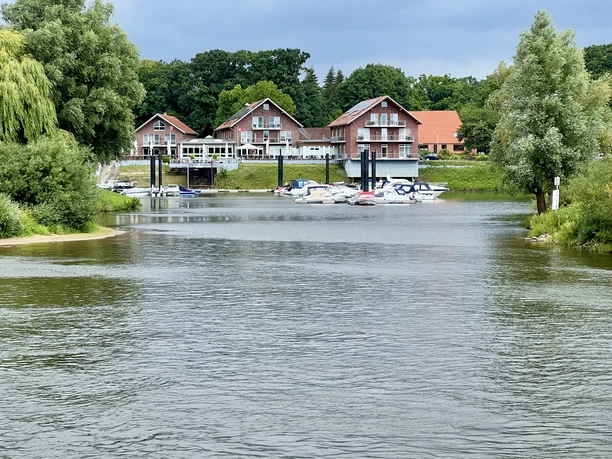 Houses on the shore with boats in the harbor, surrounded by trees and green forest in the background.