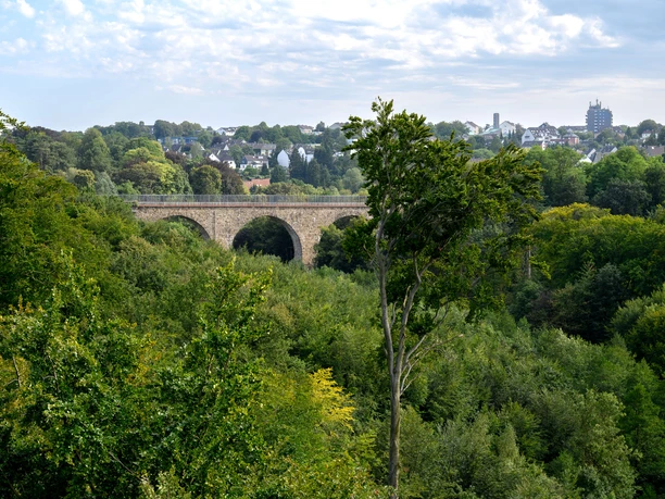 Blick auf die Saubrücke aus der 5. Etage der Jugendherberge Velbert Blick auf eine Steinbrücke inmitten eines üppigen, grünen Waldes in Velbert bei bewölktem Himmel.
