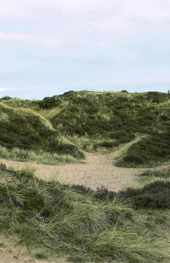 Süderlügumer Binnendüne