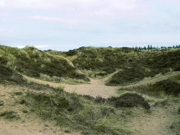 Süderlügumer Binnendüne