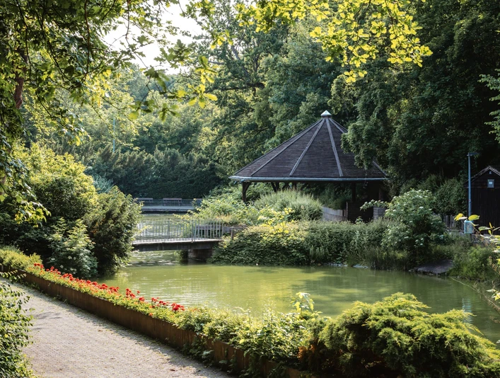 Fischteiche in den Wallanlagen