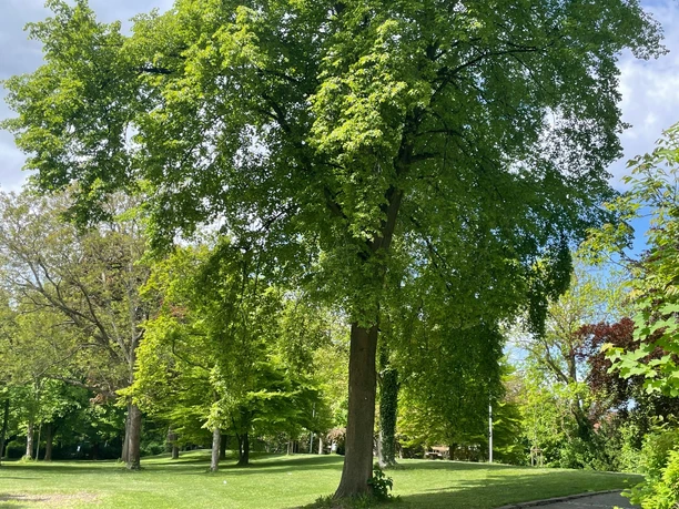 Die Northeimer Wallanlagen