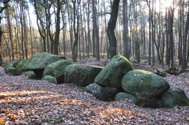 Großsteingrab Steenhus in den Klöbertannen, Werpeloh (Station 18a) ©Emsland Tourismus GmbH (12).jpg Moosbewachsene Findlinge eines steinzeitlichen Grabes zwischen hohen Bäumen im herbstlichen Wald