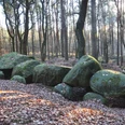 Großsteingrab Steenhus in den Klöbertannen, Werpeloh (Station 18a) ©Emsland Tourismus GmbH (12).jpg