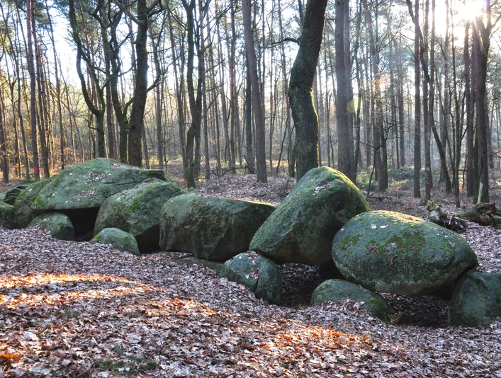 Großsteingrab Steenhus in den Klöbertannen, Werpeloh (Station 18a) ©Emsland Tourismus GmbH (12).jpg