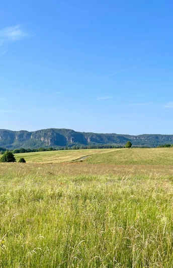 Panoramablick von Lichtenhain zu den Felsriffen der Affen- und Schrammsteine