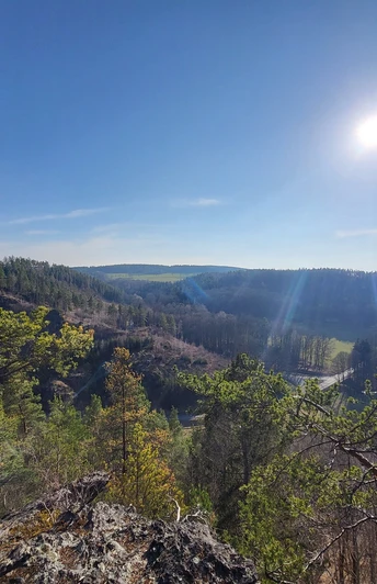 Ausblick von den Köhlerspitzen Netzschkau