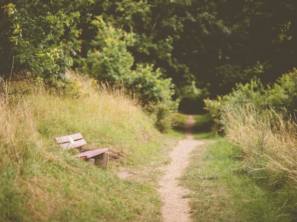 Rote-Bank-3-Panoramaweg-Bosau