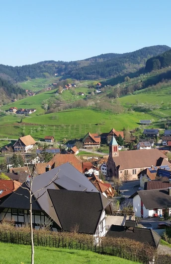 Blick vom Kleineck auf Seebach und in den Grimmerswald mit Häusern, Wiesen und Wald im Frühling