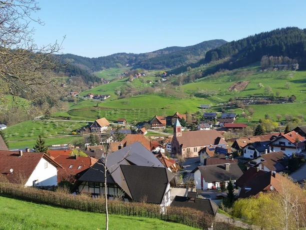 Blick vom Kleineck auf Seebach und in den Grimmerswald mit Häusern, Wiesen und Wald im Frühling