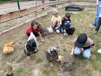 Die Schüler lernen die Hof-Tiere kennen.jpeg