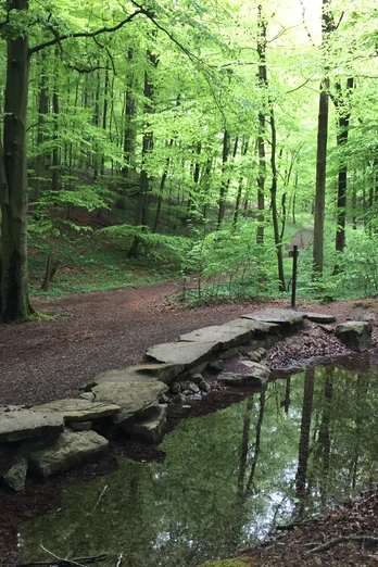 Blutbachquelle Blutbachquelle