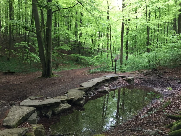 Blutbachquelle Blutbachquelle