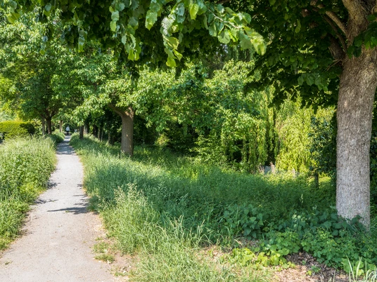 Hessisch Oldendorf - Stadtwall Hessisch Oldendorf - Stadtwall