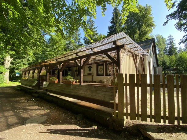 Wooden veranda of a forest restaurant under trees, with benches and sun protection in the summer light.