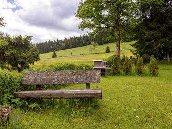 Garten mit Blick zum Hang