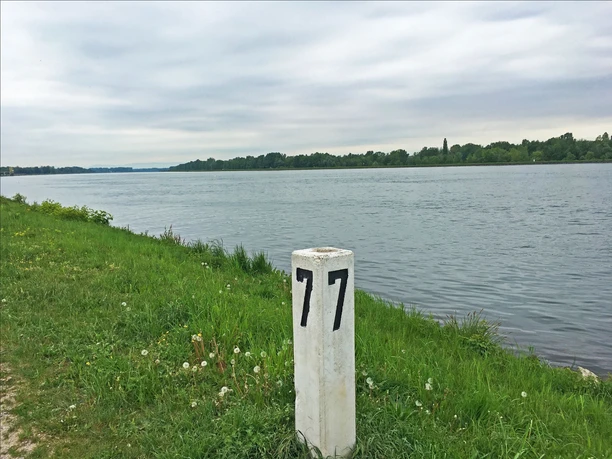 Rhein