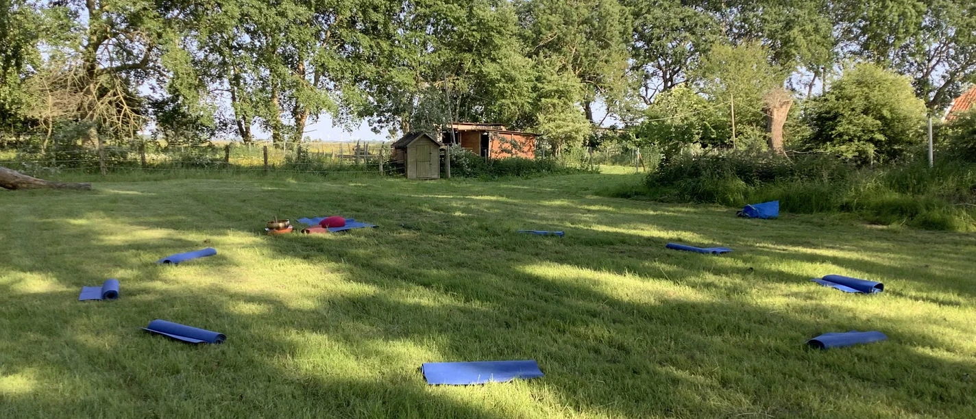 Yin Yoga auf dem Ferienhof Spiegelhaus Yogaunterlagen auf einer sonnigen Wiese, umgeben von Bäumen beim Ferienhof Spiegelhaus in Woltzeten