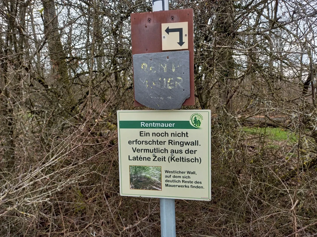 Rentmauer Keltischer Ringwall.webp