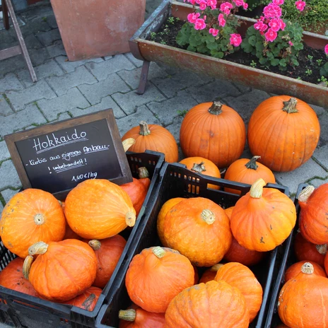 Hofladen Anneken in Papenburg ©Emsland Tourismus GmbH (6).jpg