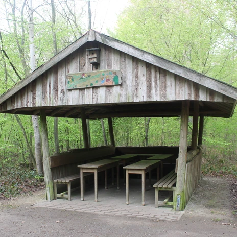 Walderlebnispfad Stoverner Wald in Salzbergen ©Emsland Tourismus GmbH (22).JPG Hölzerne Schutzhütte mit Sitzbänken im grünen Laubwald am Walderlebnispfad Stoverner Wald.