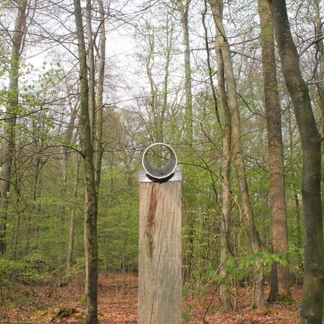Walderlebnispfad Stoverner Wald in Salzbergen ©Emsland Tourismus GmbH (25).JPG Holzpfosten mit metallener Röhre zwischen jungen Bäumen im grünen Stoverner Wald in Salzbergen