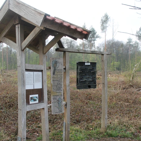Walderlebnispfad Stoverner Wald in Salzbergen ©Emsland Tourismus GmbH (7).JPG Holztafel mit Infotexten und Nisthilfe steht am Waldrand des Stoverner Walderlebnispfads.