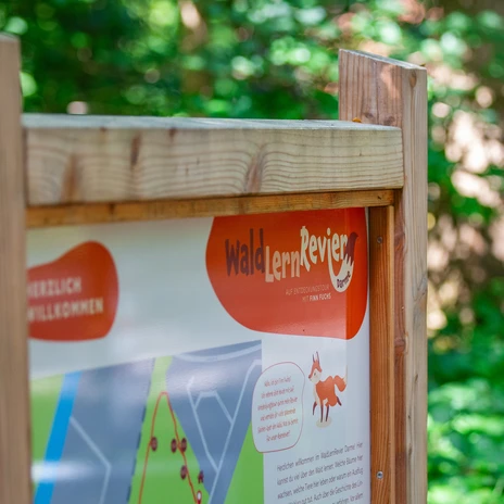 jpg.jpg Holztafel mit Infotafel des WaldLernReviers Damme im Grünen, teilweise von Sonne beleuchtet