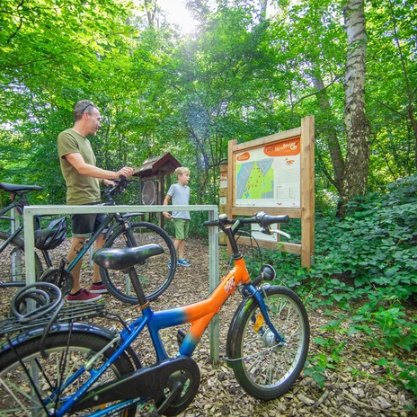 jpg (1).jpg Ein Mann und ein Kind betrachten im Wald eine Infotafel neben abgestellten Fahrrädern.