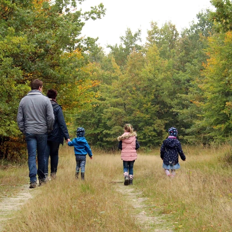 Walderlebnispfad Fullener Wald bei Meppen - Herbstspaziergang einer Familie ©Naturpark Moor-Veenland (19).jpg Familie spaziert im herbstlichen Fullener Wald auf naturbelassenem Pfad durch buntes Laub