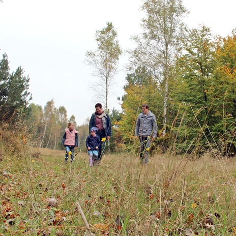 Walderlebnispfad Fullener Wald bei Meppen - Herbstspaziergang einer Familie ©Naturpark Moor-Veenland (26).jpg Familie spaziert im herbstlichen Wald über einen naturbelassenen Pfad mit buntem Laub und Gräsern