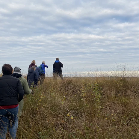 Naturschutzgebiet Theikenmeer, Werlte - Naturführung ©Naturpark Hümmling (1).jpeg Gruppe von Menschen wandert durch herbstliche Moorlandschaft unter bewölktem Himmel im Theikenmeer.