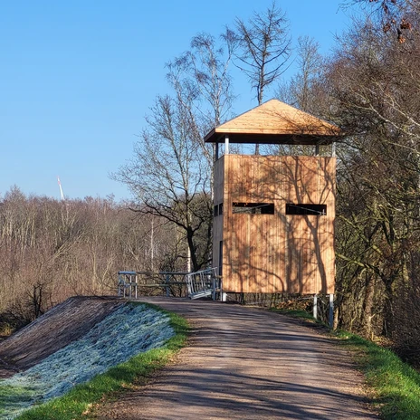 Theikenmeer-Runde, Werlte - Hümmling-Pfade, Bernhard-Grzimek-Turm ©Naturpark Hümmling (1).jpg Holzbeobachtungsturm am Waldrand bei Werlte mit Blick auf Windräder und klare Winterlandschaft