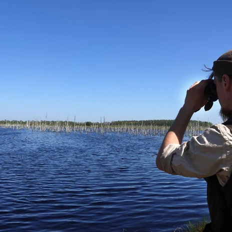 Naturschutzgebiet Theikenmeer bei Werlte ©Naturpark Hümmling (10).jpg Person mit Fernglas beobachtet Vögel über dem stillen See im Naturschutzgebiet Theikenmeer.