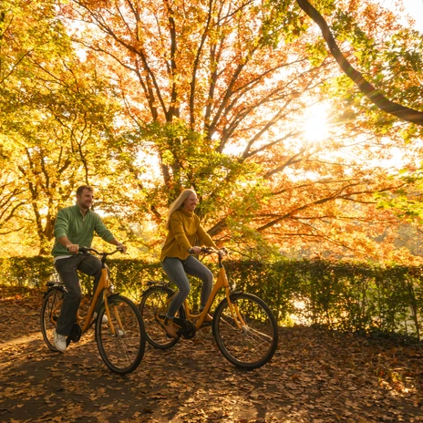 Radweg am Dortmund-Ems-Kanal nahe Brücke Hasebrinkstraße – Radfahren im Emsland ©Emsland Tourismus GmbH (1).jpg Zwei Personen fahren auf einem Laubweg am Kanal, umgeben von herbstlich leuchtenden Bäumen.