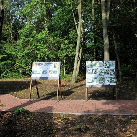 UnterhaltsameTourenMitLerneffekt3.jpg Zwei Informationstafeln mit Bildern und Texten stehen auf einem Waldweg zwischen hohen Bäumen.