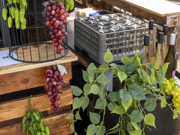 Grape and hop Festival Wooden counter with wine crates, wines, grape and hop decorations, green foliage.