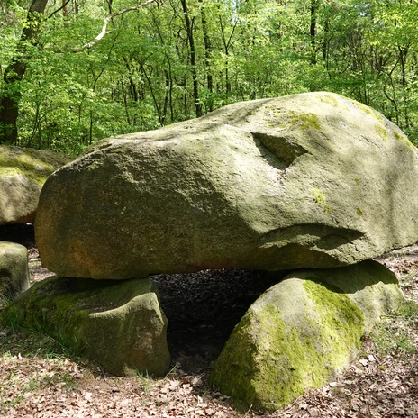 Der Steinerne Schlüssel - Großsteingrab in Meppen-Apeldorn ©Emsland Tourismus GmbH (4).jpg