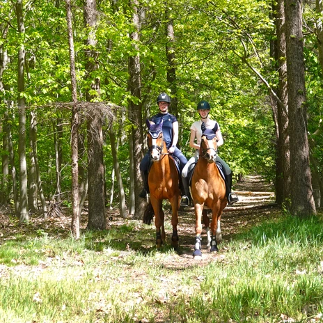 Reiten im Emsland – Urlaub hoch zu Ross ©Emsland Tourismus GmbH (10).jpg