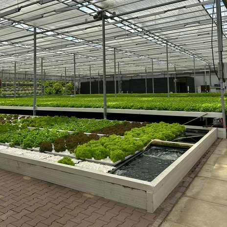 Erlebnispark Emsflower - Schaugewächshaus, Emsbüren ©Emsland Tourismus GmbH (3).jpg