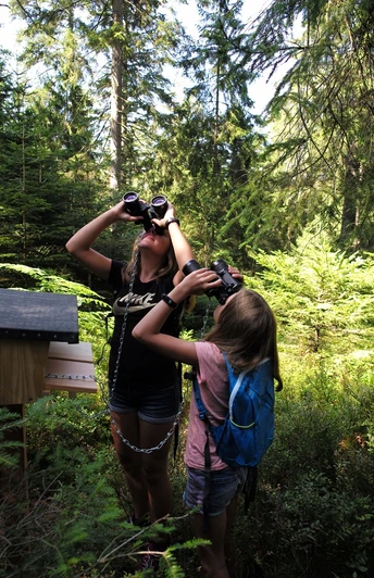 Kinder unterwegs auf dem Auerhahnsteig an einer der insgesamt 7 Stationen