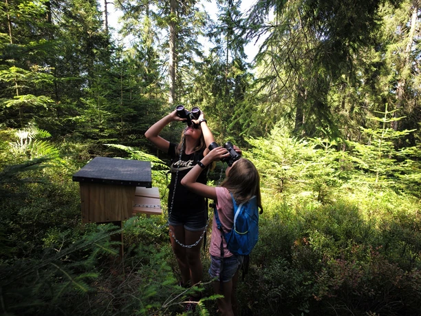 Kinder unterwegs auf dem Auerhahnsteig an einer der insgesamt 7 Stationen