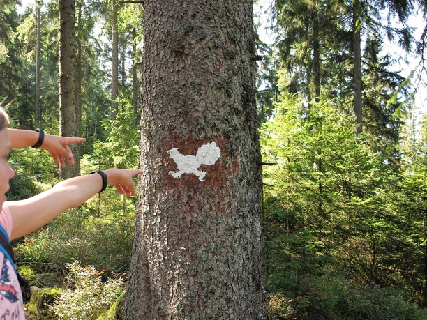 Der rennende Auerhahn markiert den Rundweg