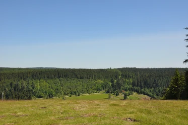 Kaltenbronn