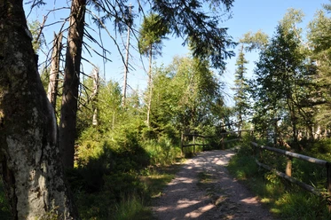 Hohloh-Moor