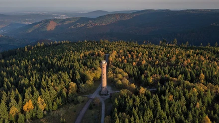 Wandervorschlag-Kaltenbronn-Hohlohsee-Hohlohturm