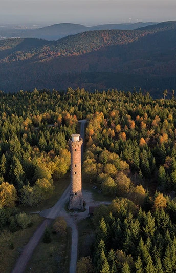 Wandervorschlag-Kaltenbronn-Hohlohsee-Hohlohturm